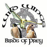 WILD WINGS BIRDS OF PREY